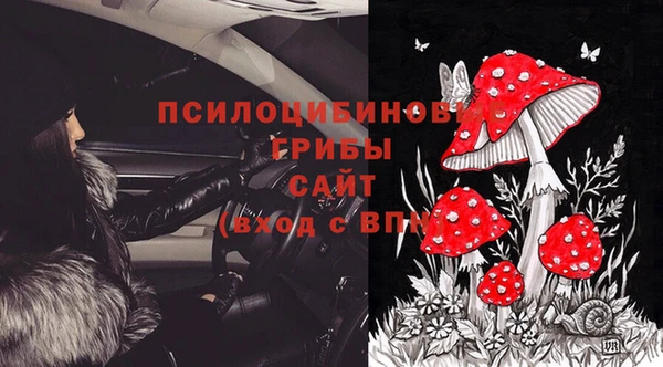 МДПВ Алексин