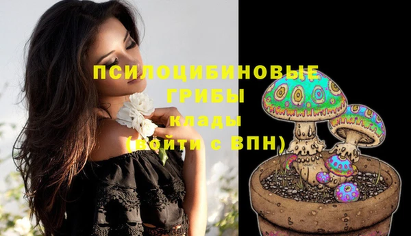 MDMA Premium VHQ Алзамай