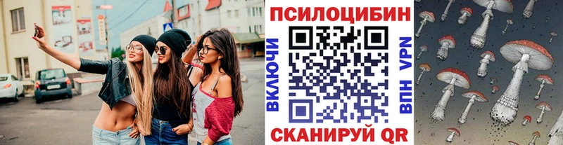 ссылка на мегу ссылка  Шенкурск  Псилоцибиновые грибы Psilocybe  купить закладку 